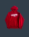 Vintage 70s Roosevelt Teddies University Hoodie