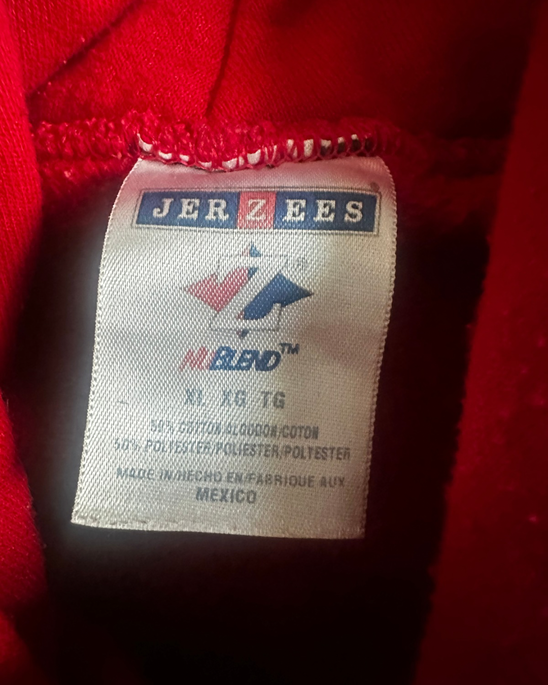 Vintage 70s Roosevelt Teddies University Hoodie