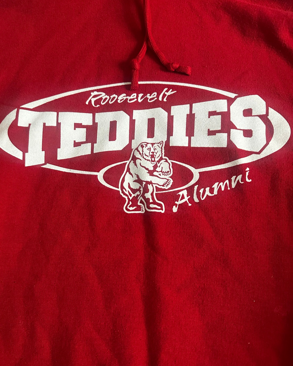 Vintage 70s Roosevelt Teddies University Hoodie