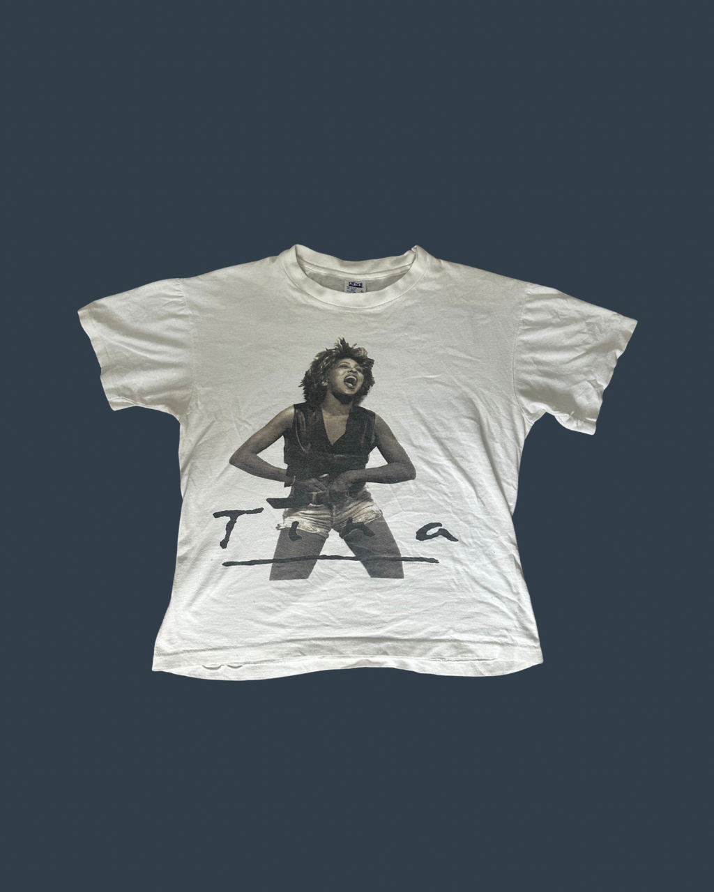 Vintage 1993 Tina Turner Tour tee