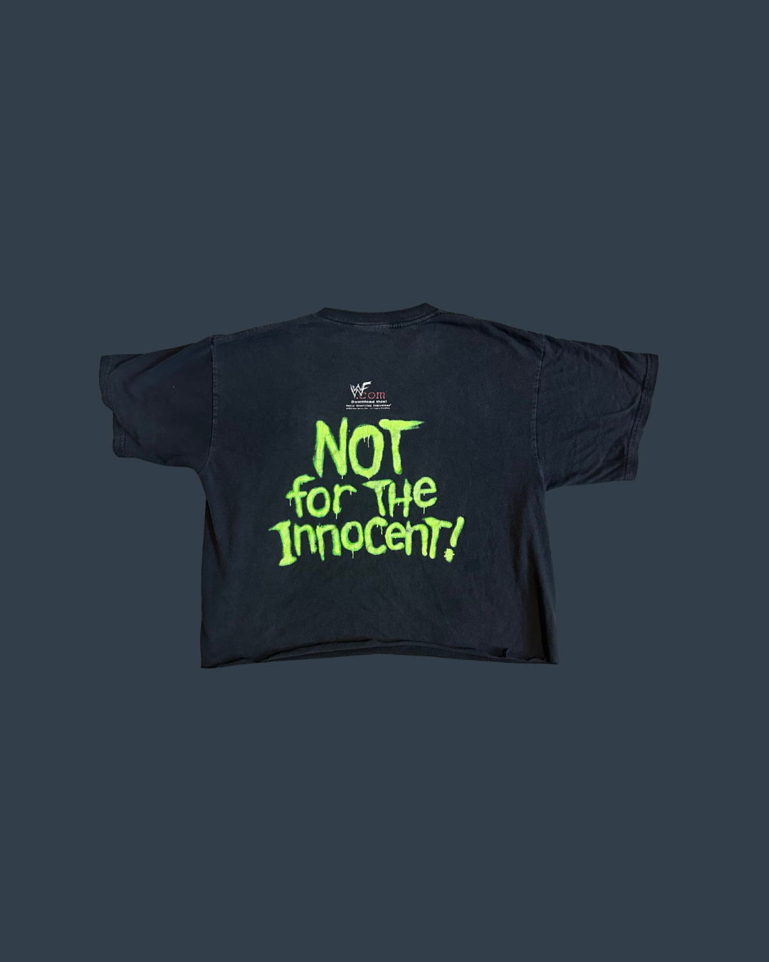 Vintage 1999 Triple H WWE Tee