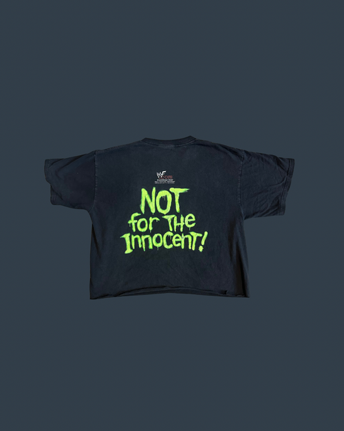 Vintage 1999 Triple H WWE Tee